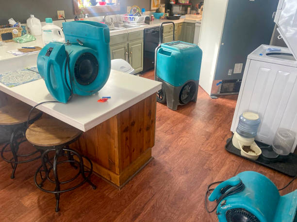  Whitehorn Cove, OK Water damage restoration Pros