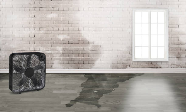 Best Fire Damage Restoration  in Whitehorn Cove, OK