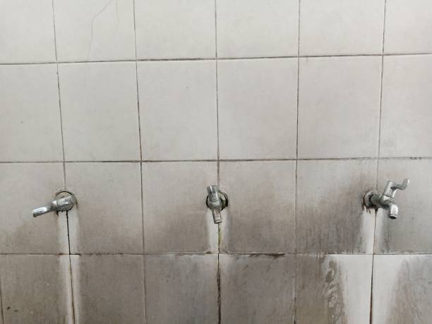 Best 24/7 water damage repair  in Whitehorn Cove, OK
