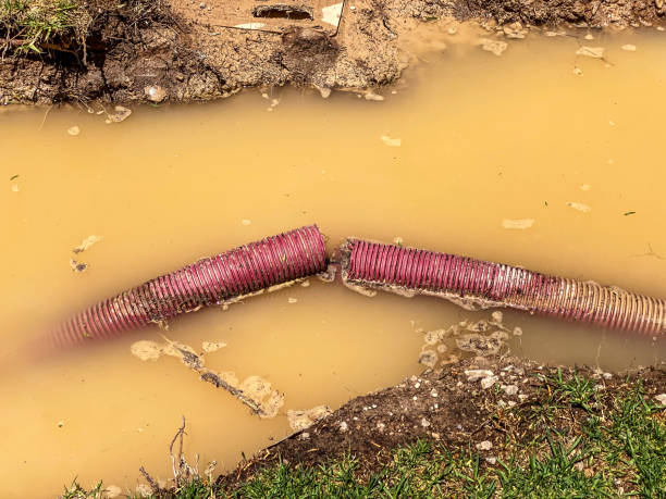 Best Residential water damage restoration  in Whitehorn Cove, OK