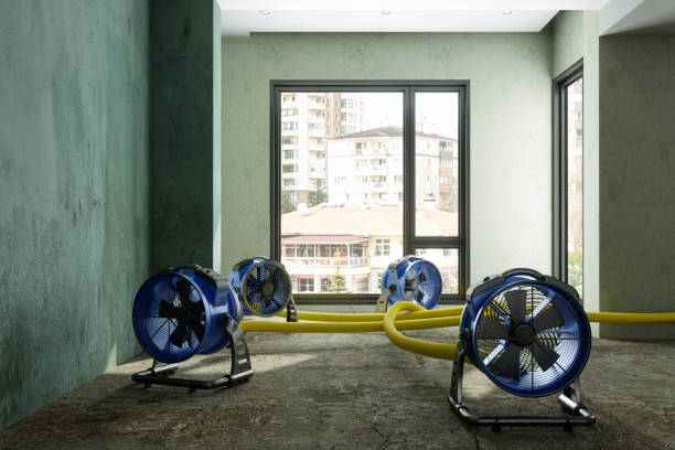 Best Local water damage restoration  in Whitehorn Cove, OK